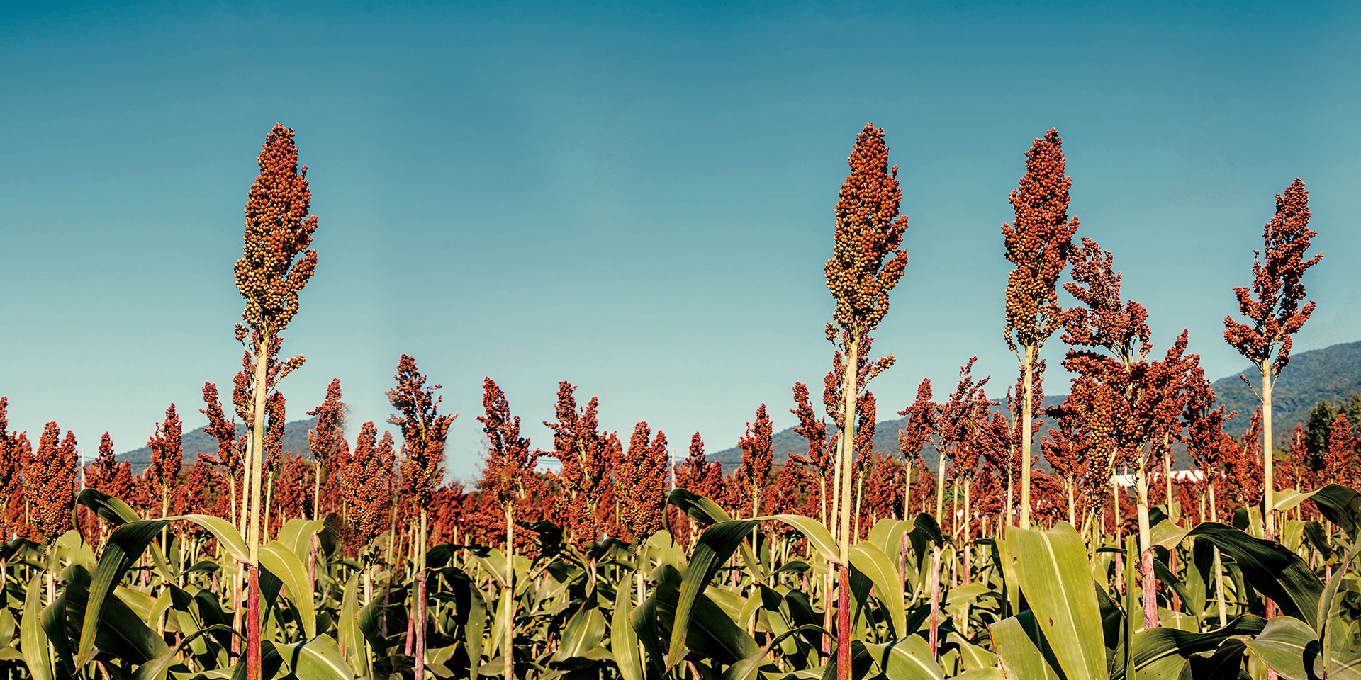 中文字幕乱码亚洲无线三区